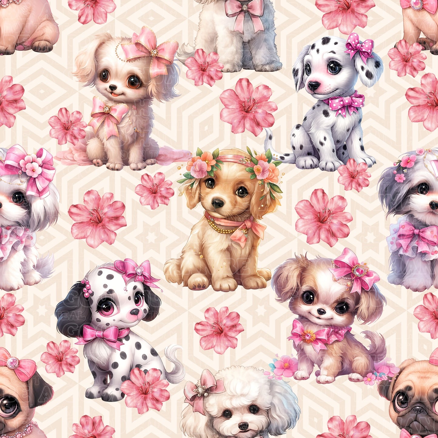 Cat and Dog - 121