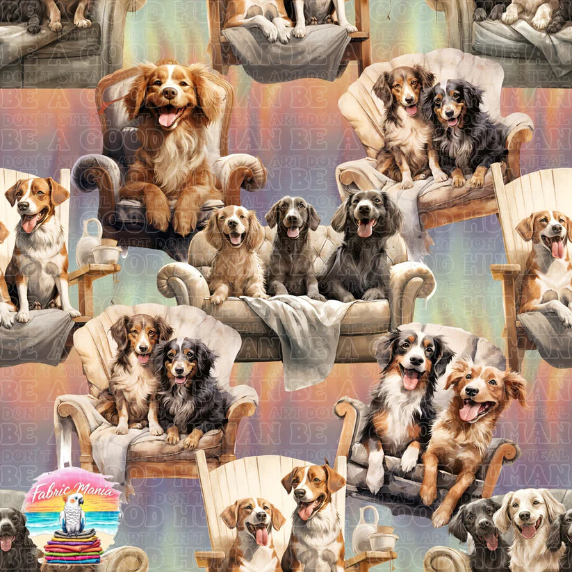 Cat and Dog - 015