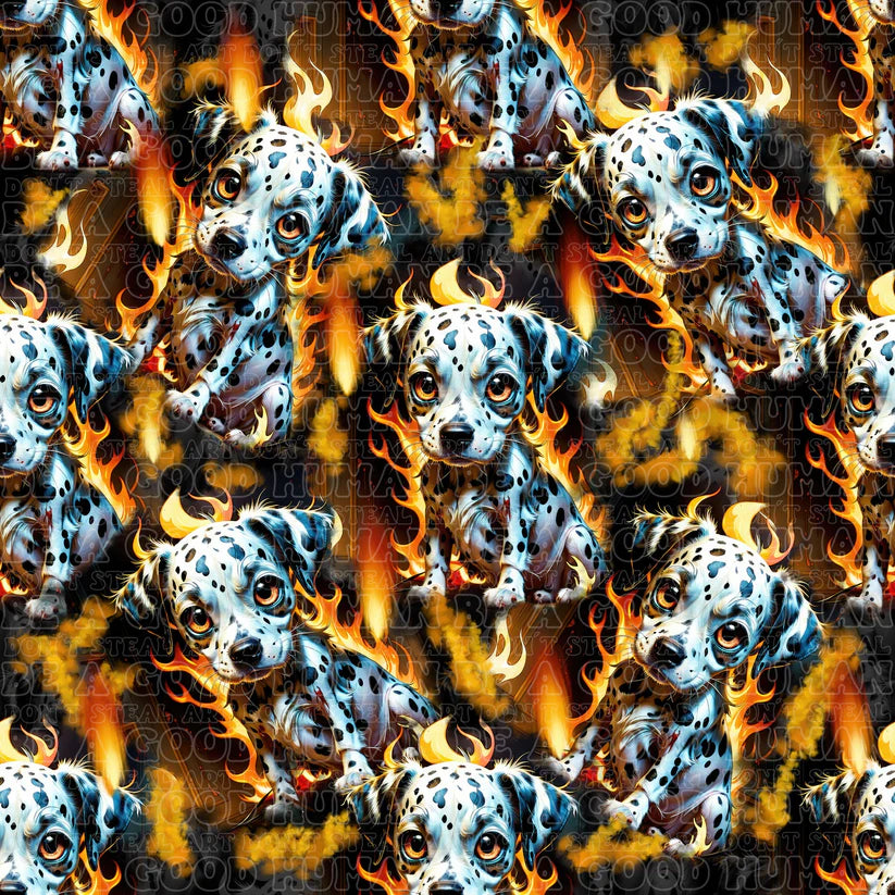 Cat and Dog - 011