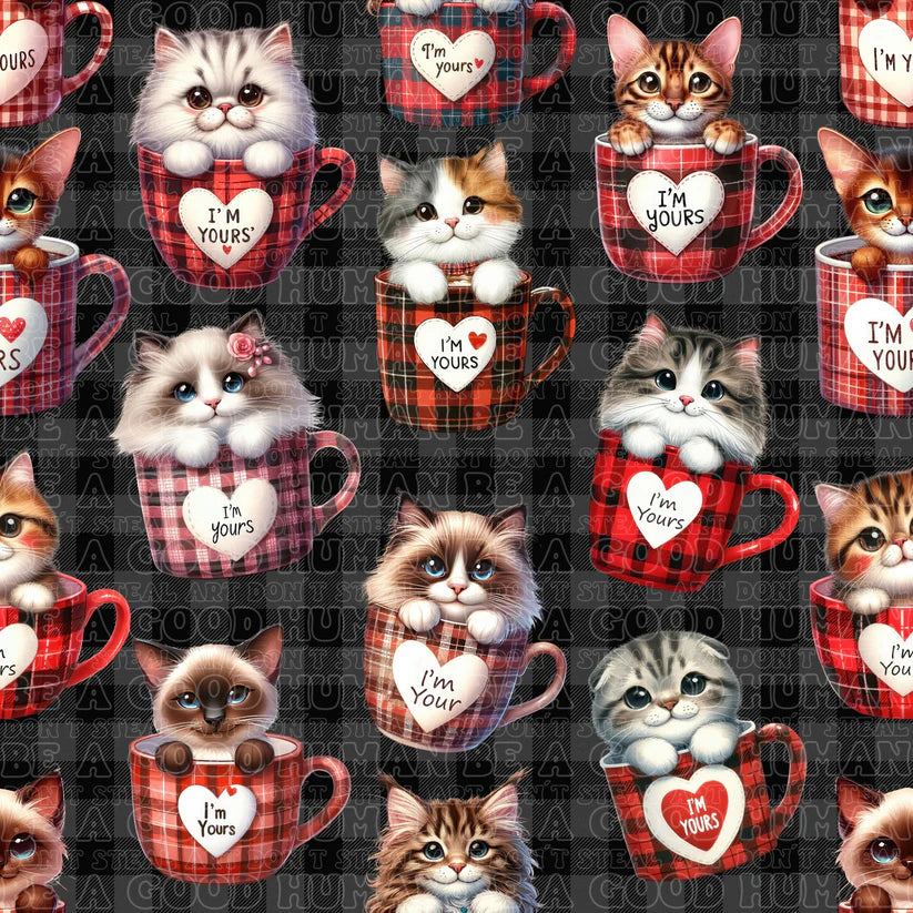 Cat and Dog - 069