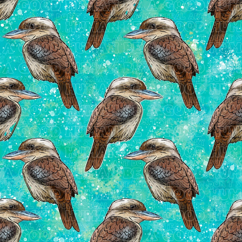 Kookaburra 1