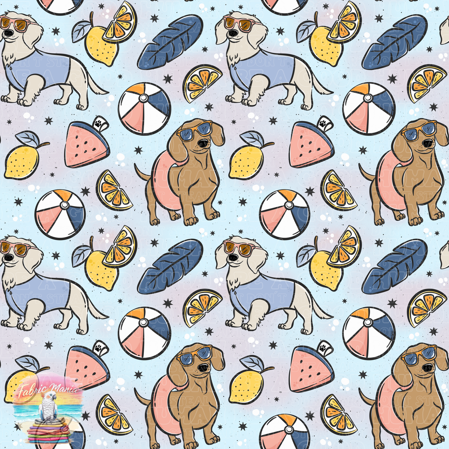 Cat and Dog - 157