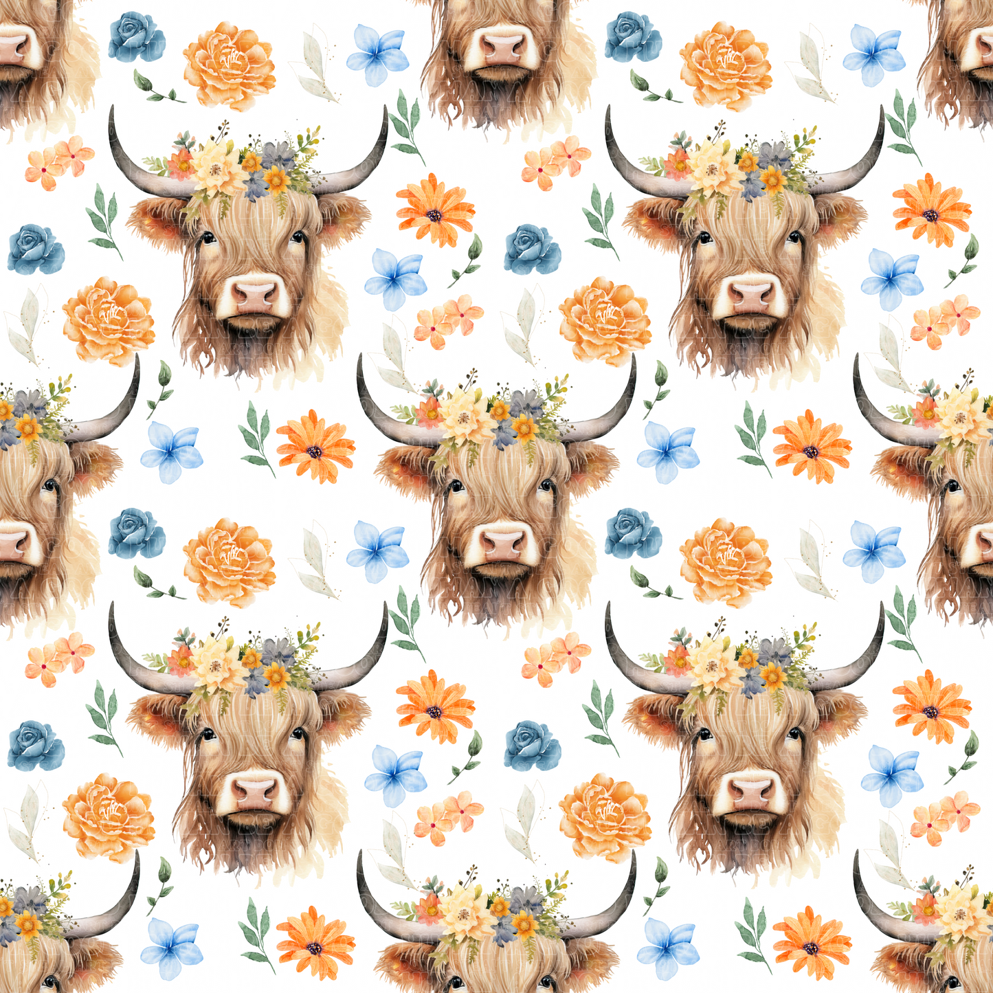 Farm animals highland cows 5