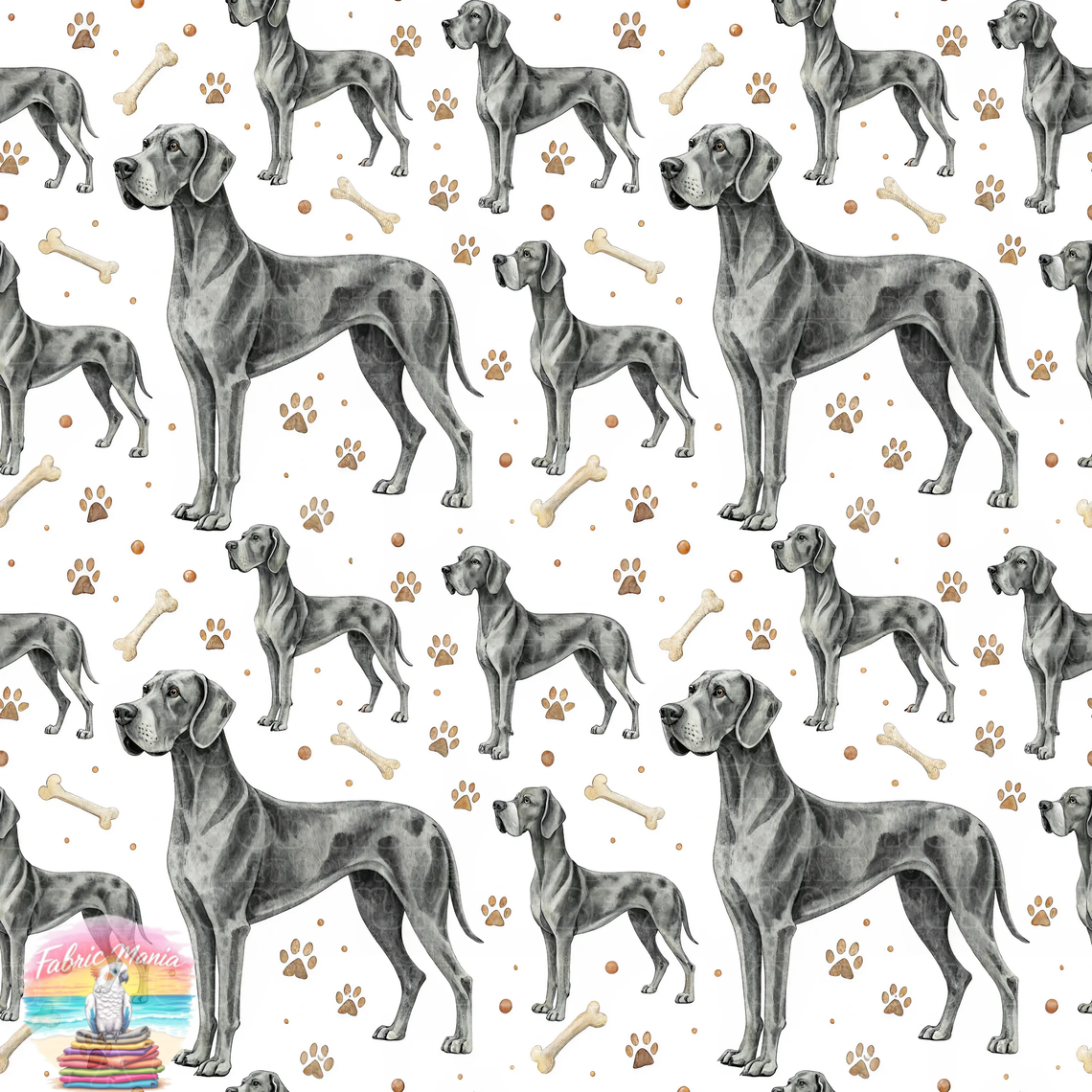 Cat and Dog - 147