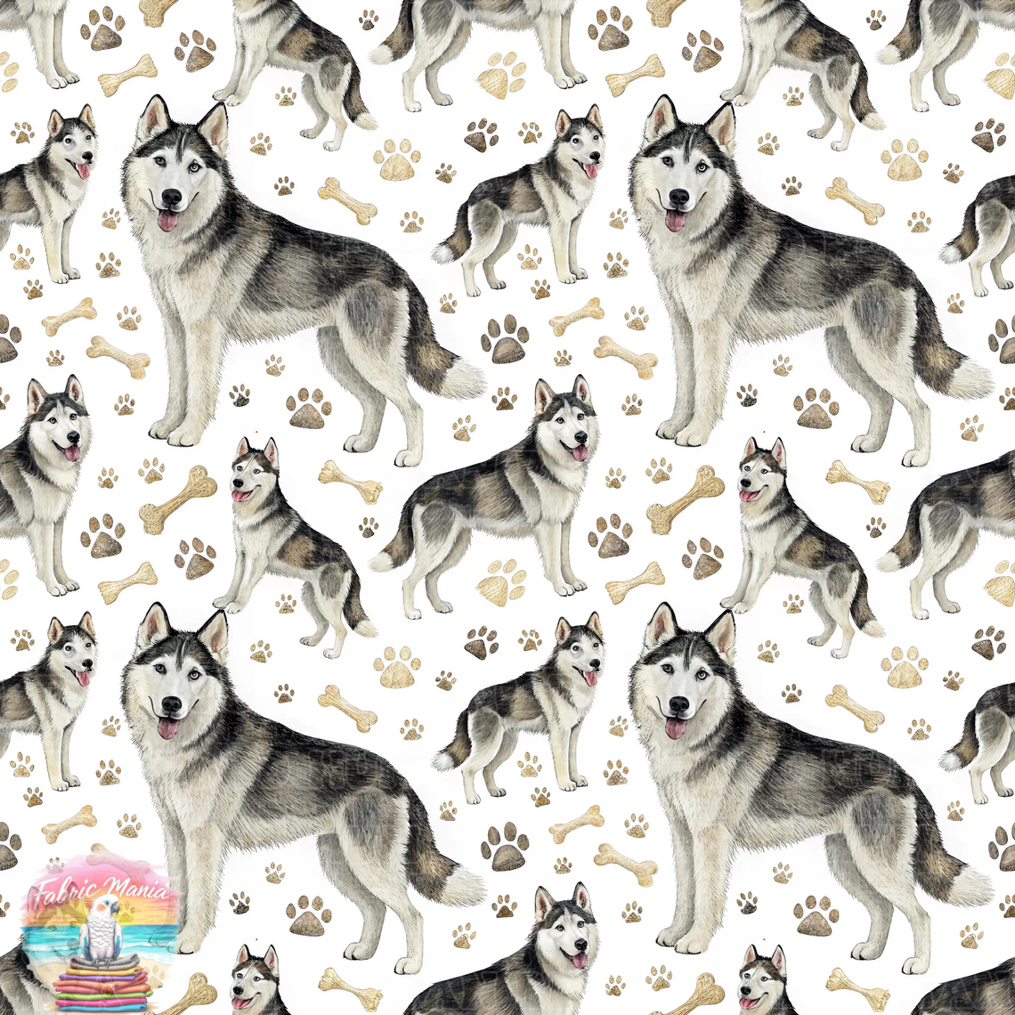 Cat and Dog - 149