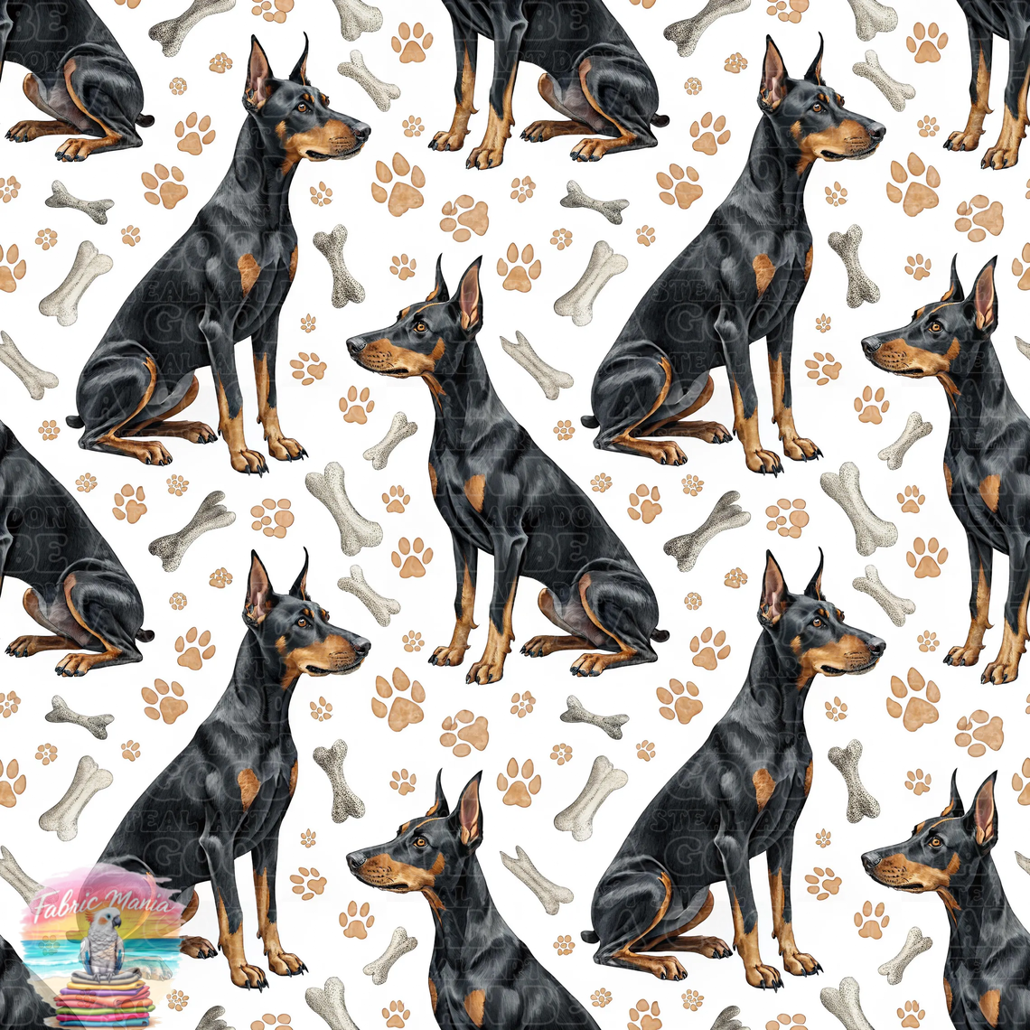 Cat and Dog - 155