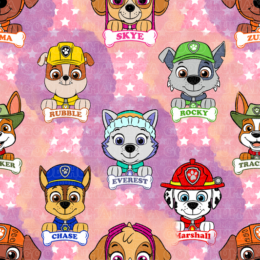 Paw Patrol 101