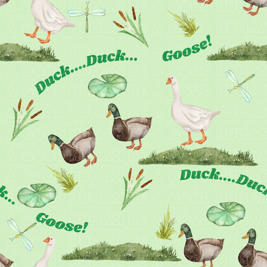 Farm animals duck, goose 2