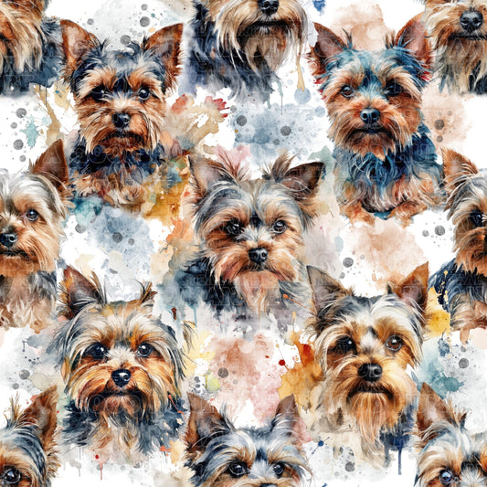 Cat and Dog - 112