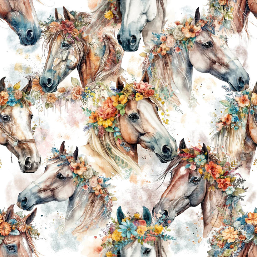 Western - 065