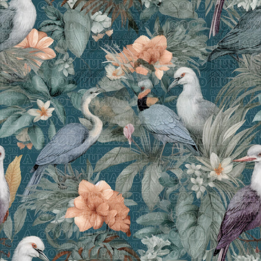 Birds 043