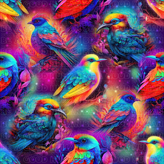 Birds 038