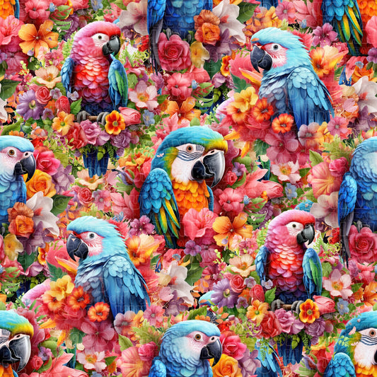 Birds 069