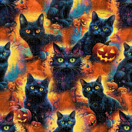 Cat and Dog - 123