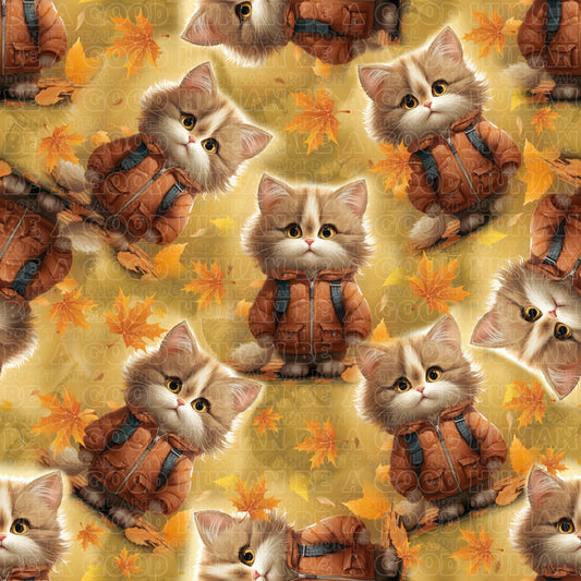 Cat and Dog - 117