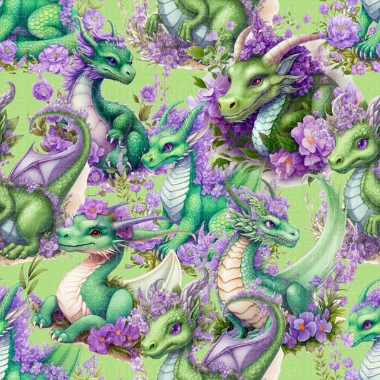 Dragons 15