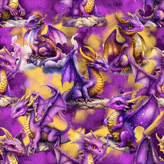 Dragons 12