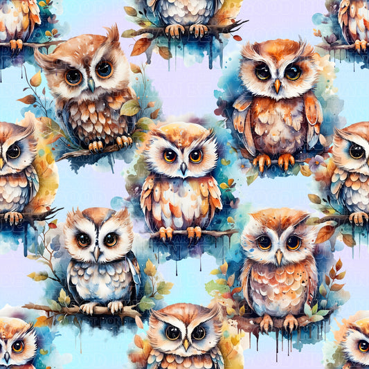 Birds 029