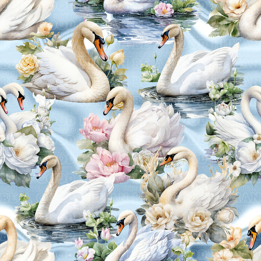 Birds 027
