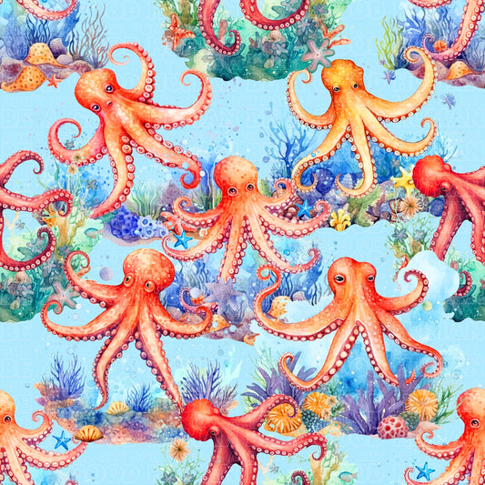 Animals octopus