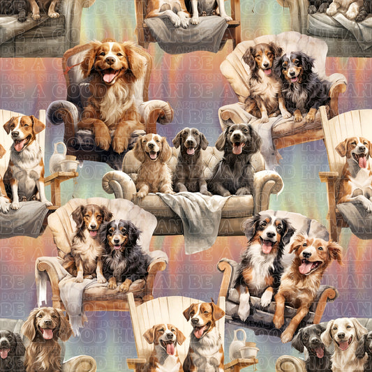 Cats & Dogs 066