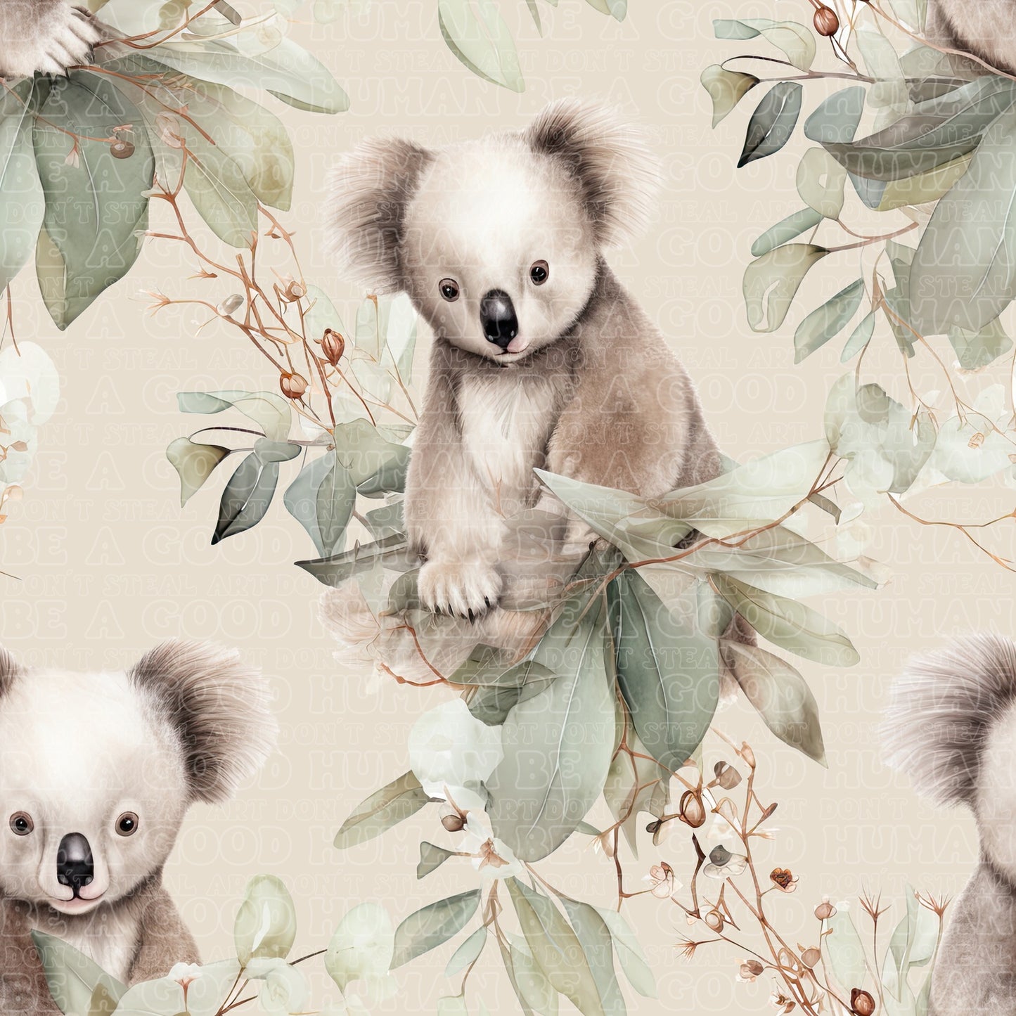 Koala 11