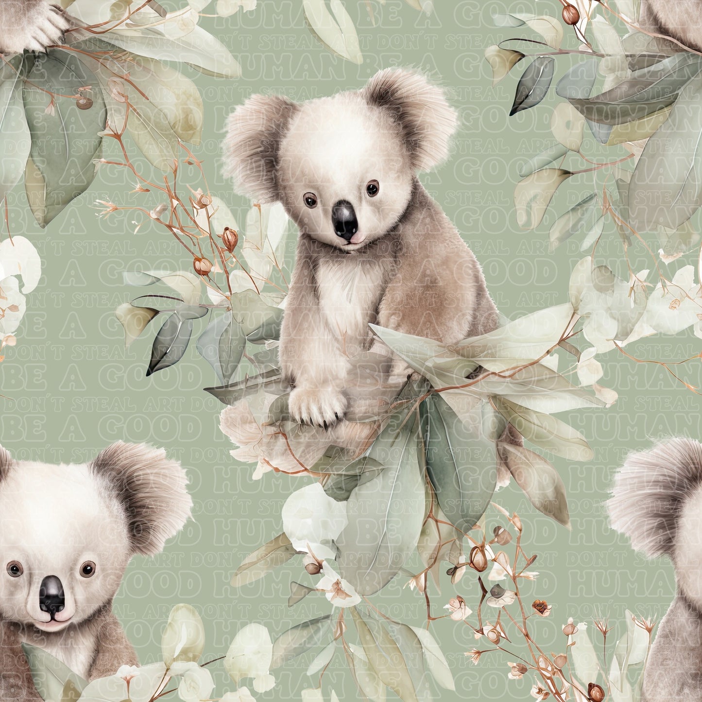 Koala 10