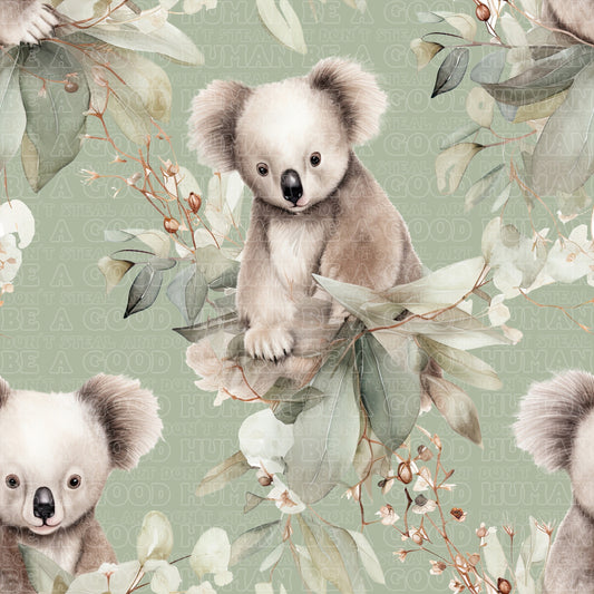 Koala 10