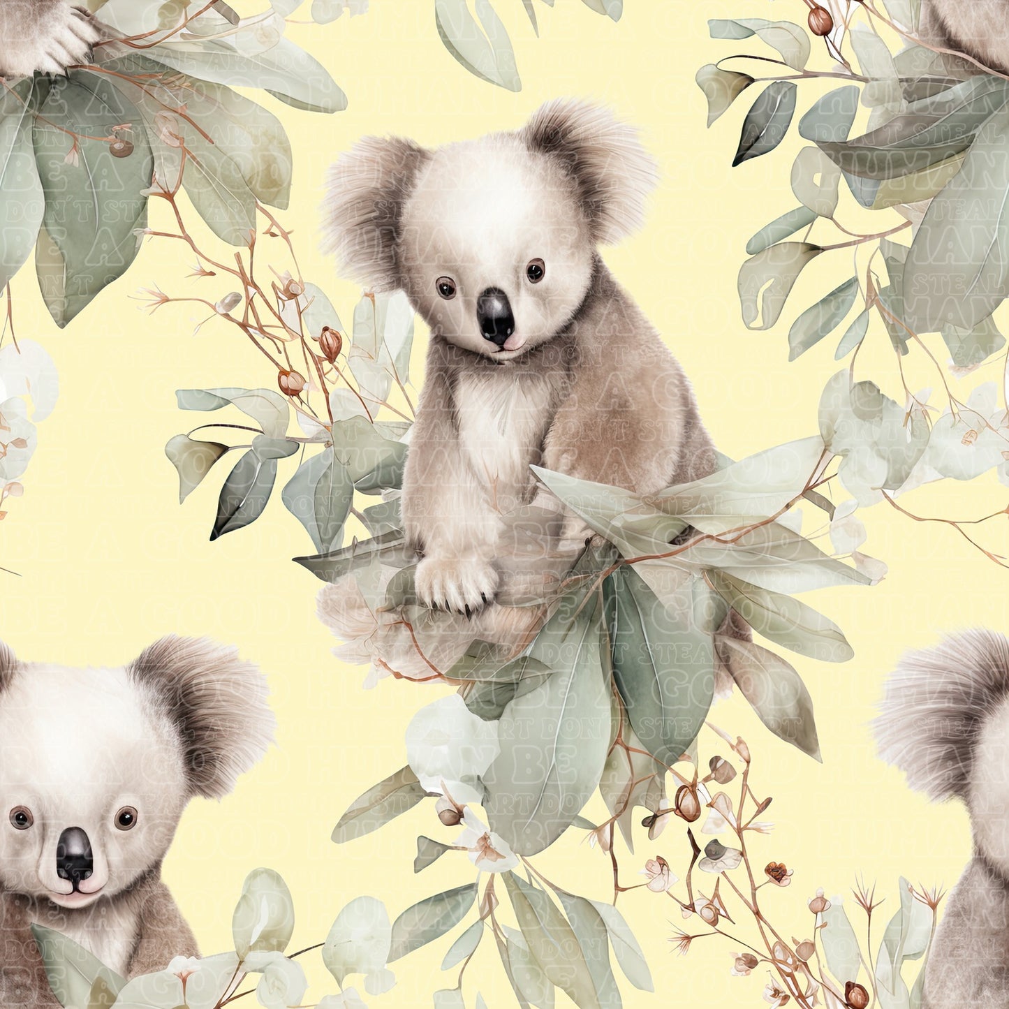 Koala 9