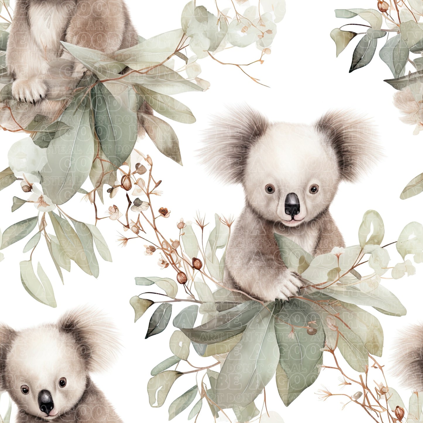 Koala 12