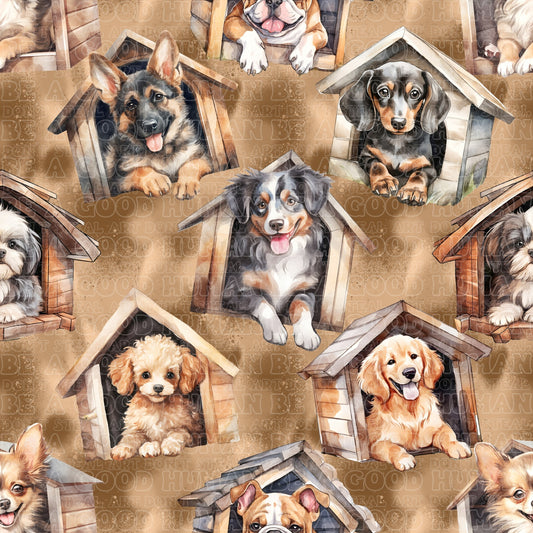 Cats & Dogs 063