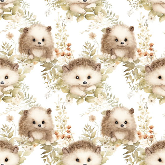 Animals hedgehog