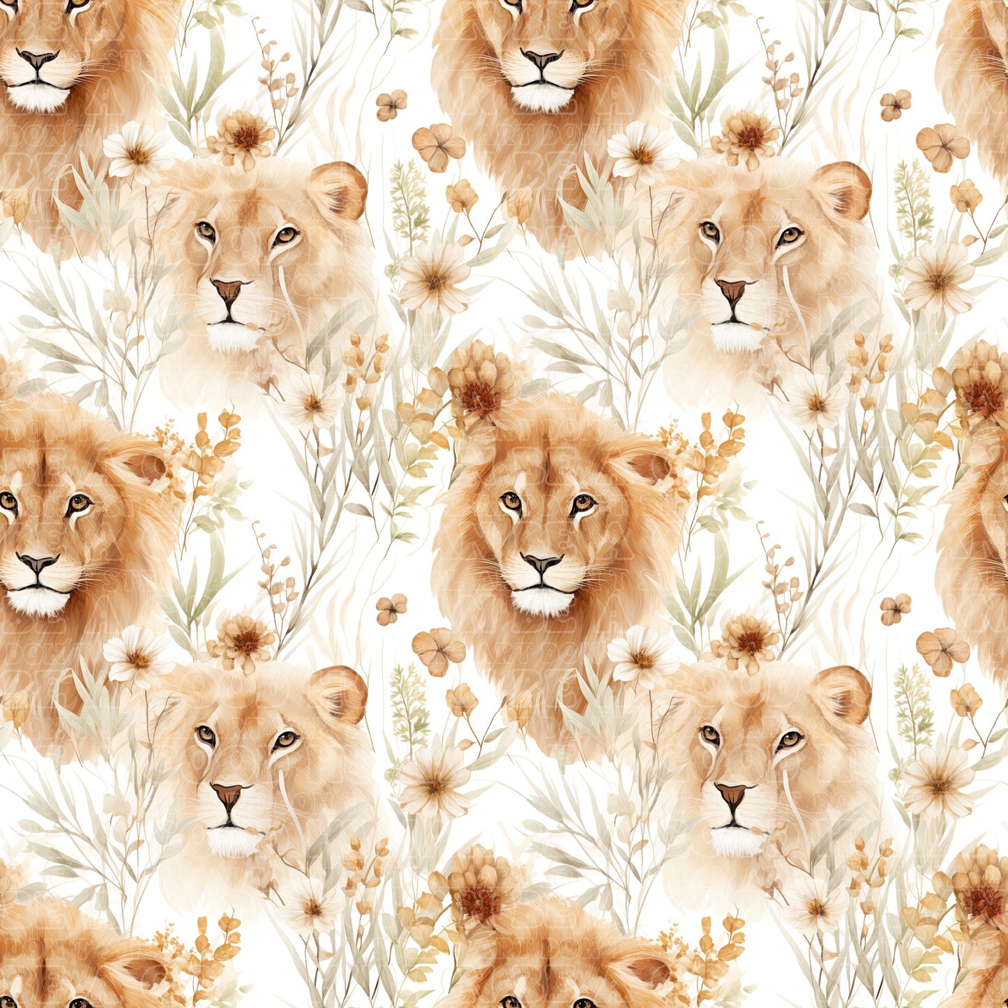 Animals lions