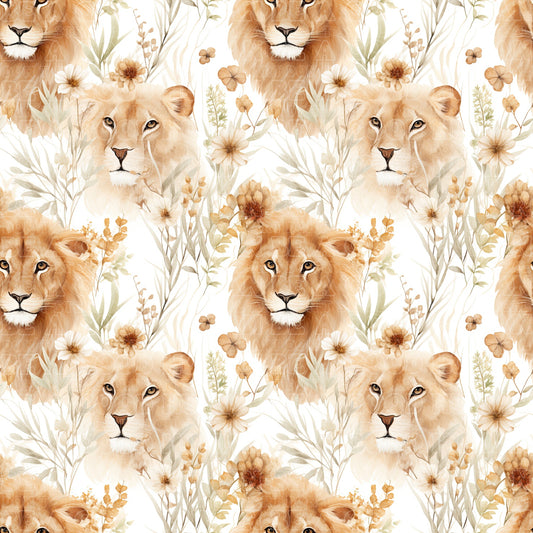 Animals lions