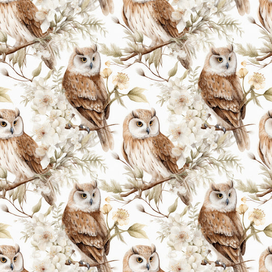 Birds 023