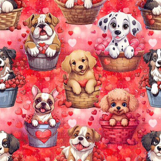 Cats & Dogs 061