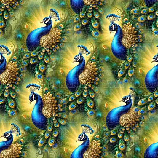 Birds 017
