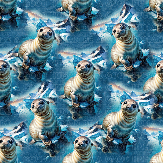 Animals seal