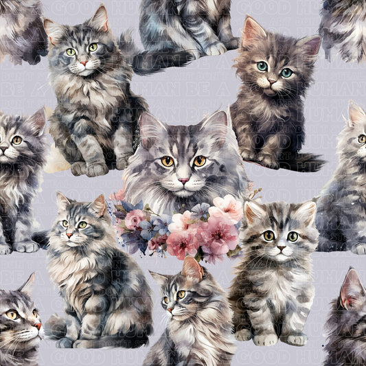 Cats & Dogs 054