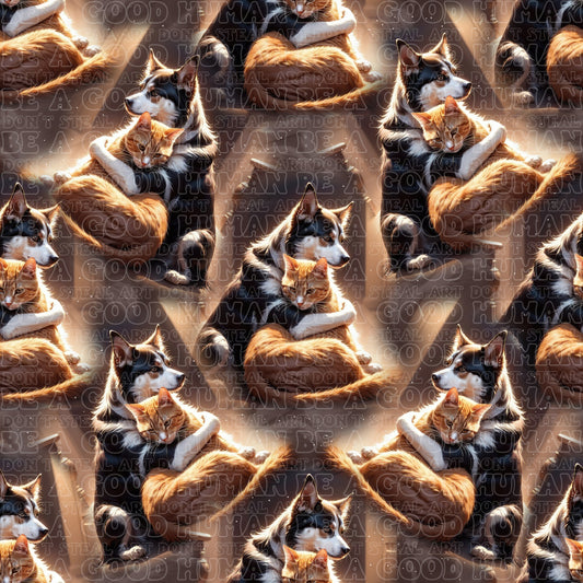 Cats & Dogs 051
