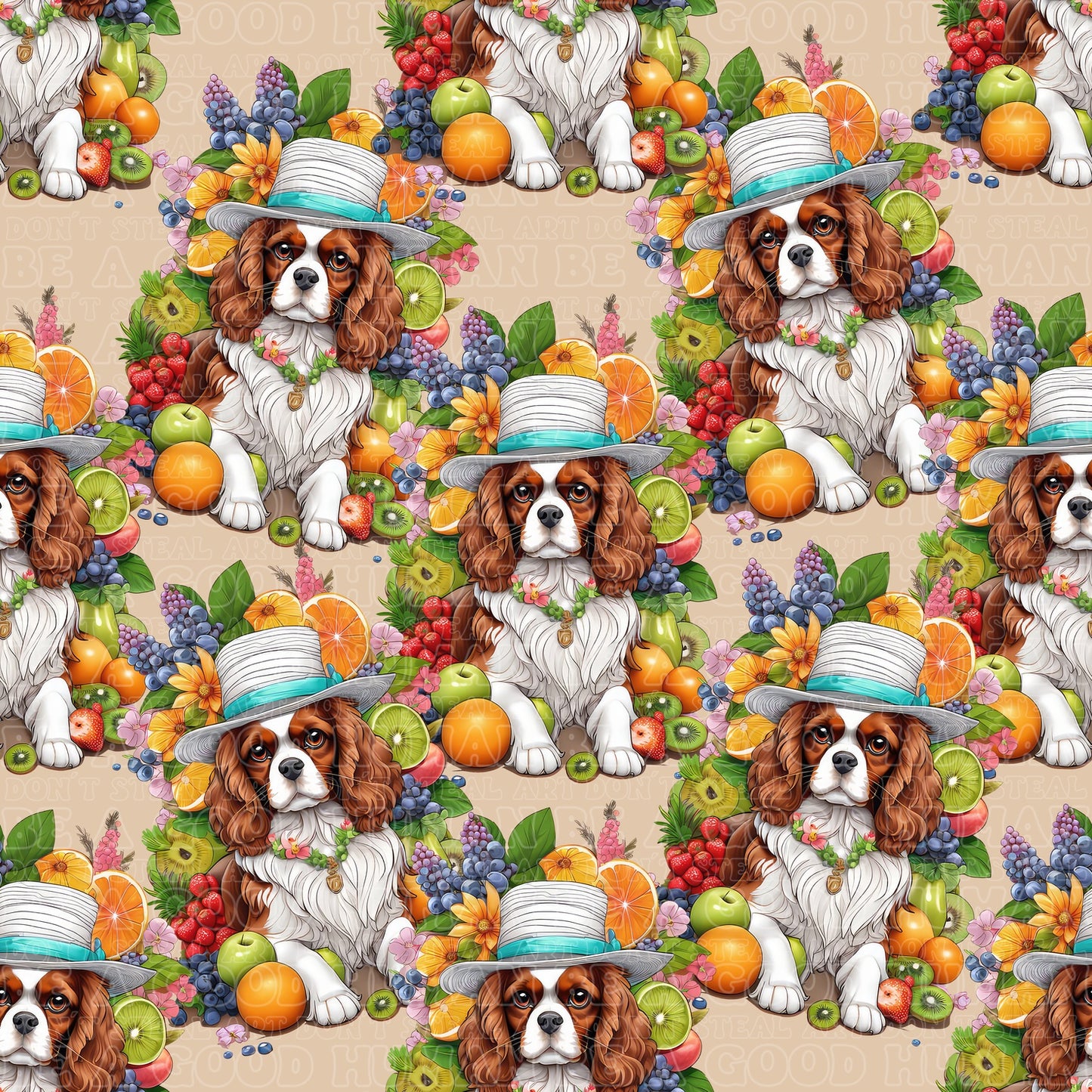 Cats & Dogs 050