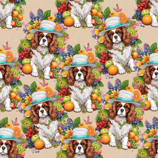 Cats & Dogs 050