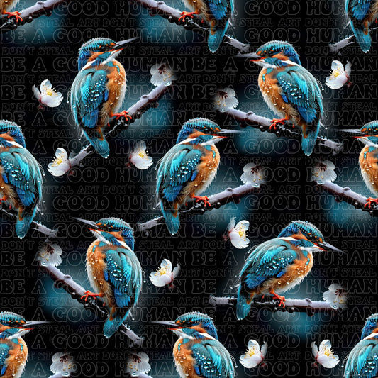 Birds 013