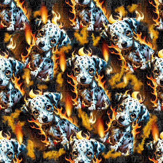 Cat and Dog - 011
