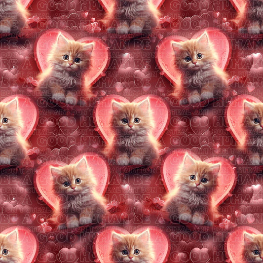 Cat and Dog - 076