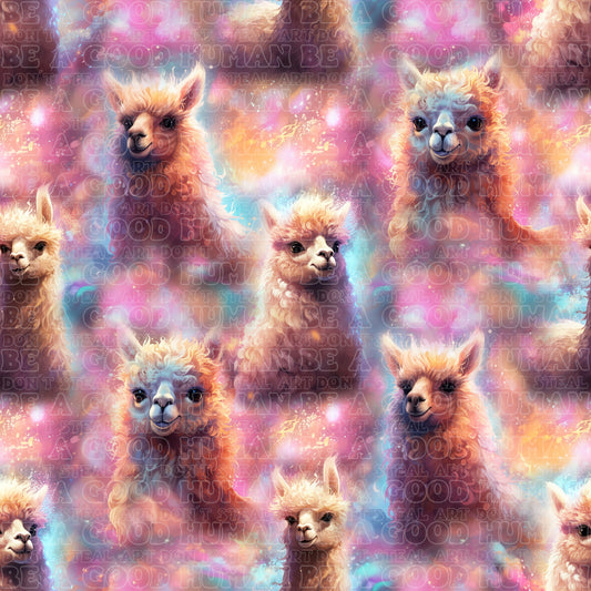 Farm animals Lamas