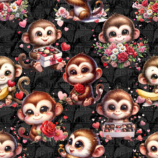Animals monkeys