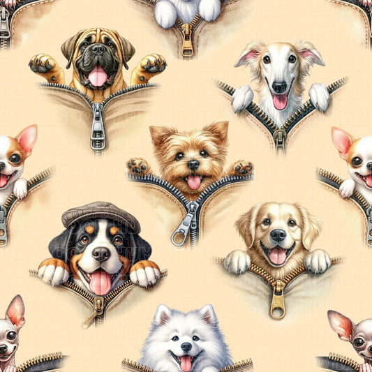 Cats & Dogs 033
