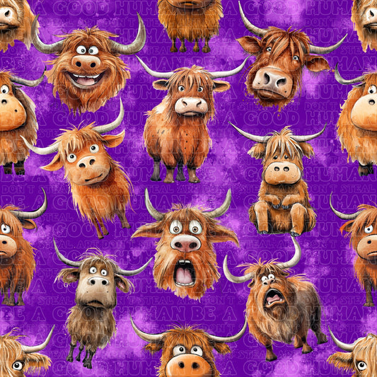 Farm animals highland cows purple