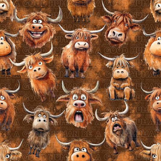 Farm animals highland cows brown